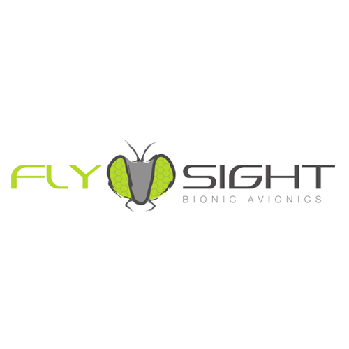Flysight